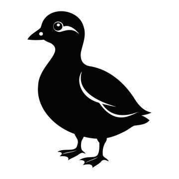 recommend clip art: Parakeet auklet Black silhouette isolated on a white background, Duck silhouettes, vector collection