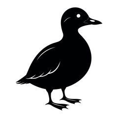 Parakeet auklet Black silhouette isolated on a white background, Duck silhouettes, vector collection