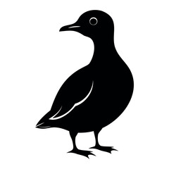 Parakeet auklet Black silhouette isolated on a white background, Duck silhouettes, vector collection