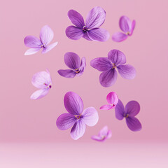 This image depicts delicate purple flowers gracefully floating in mid-air against a soft pastel pink background, creating a beautiful and serene scene that highlights the contrast between the colors.