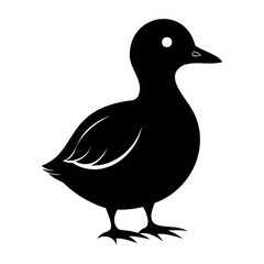 Parakeet auklet Black silhouette isolated on a white background, Duck silhouettes, vector collection