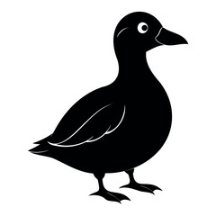 Parakeet auklet Black silhouette isolated on a white background, Duck silhouettes, vector collection