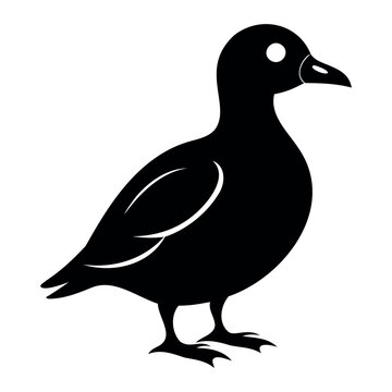 Parakeet auklet Black silhouette isolated on a white background, Duck silhouettes, vector collection