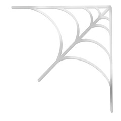 Spider web