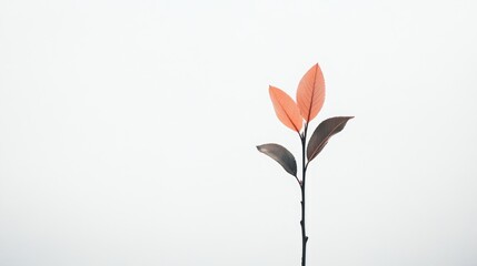 Minimalist Branch with Soft Pink Leaves