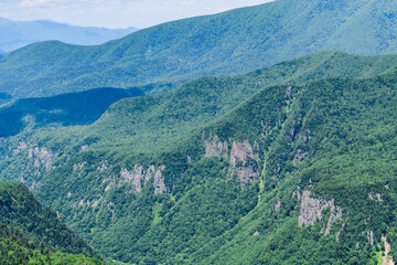 Fototapeta premium 層雲峡黒岳山麓を歩く 
