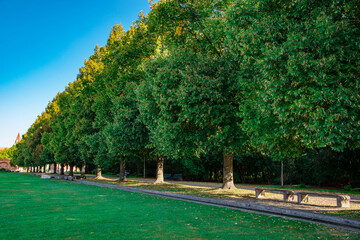 beautiful sunny day in the park, klenzepark, ingolstadt