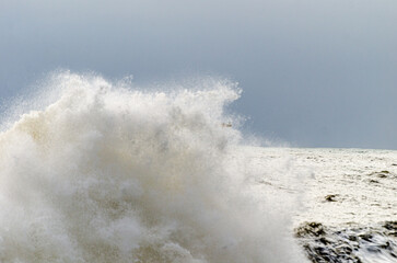 sea wave crashing on a rock
