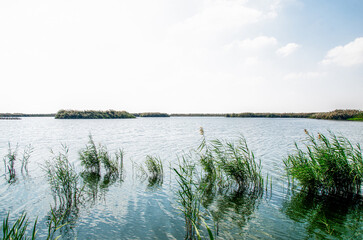 Al Karaana Lagoon for watching Migratory Birds in Qatar