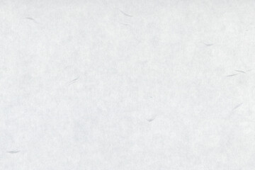 和紙（大礼紙）　白色 1