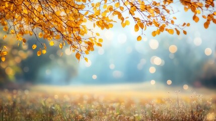 Beautiful autumn landscape with yellow trees bokeh