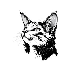 Black and white Persian Cat vector artwork. Cute cat illustration. Vintage style vector cat Logo