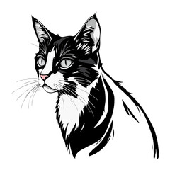 Black and white Persian Cat vector artwork. Cute cat illustration. Vintage style vector cat Logo