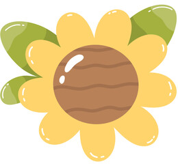 sunflower 4