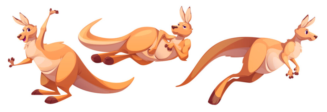 Cute funny kangaroo cartoon character jumping with interested face emotion, standing and waving hand, lying with satisfied smile. Vector illustration set of Australia marsupial animal mascot.