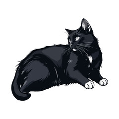 Black and white Persian Cat vector artwork. Cute cat illustration. Vintage style vector cat Logo