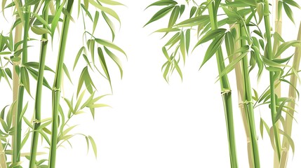 Naklejka premium Green Bamboo Forest