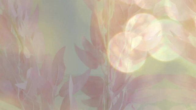 Blurred flowing bokeh background with pink floral pattern, sunlight, sparkling background with twinkling particles, soft pastel colors. Femininity style, lightweigh