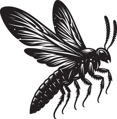 Beautiful firefly insect silhouette illustration isolated on a white background