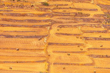  Field of hay is shown in a very dry and barren landscape. Hay is scattered throughout the field, with some areas having more hay than others. Scene is one of desolation and emptiness