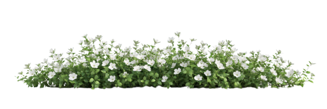 Lush Greenery with Mixed Flowering Bush Isolated on Transparent Background, Ideal for Mixed-Use Landscapes and Eco Gardens