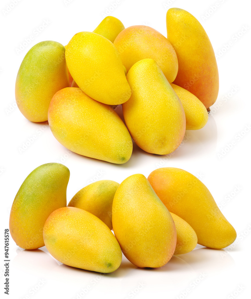 Poster mangos on a white background