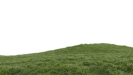 Obraz premium nature grass meadow land lush greenery landscape lawn isolated background.