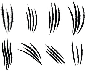 wild animal claw scratches marks, nail rips, tiger, bear or cat paws sherds Lion, monster or beast break