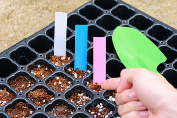 Farmer hand points to planting or nursery trays and green shovel with tree tag is a preparation for planting using coconut pulp fertilizer or peat moss, coco husk chips, fertilizer soil.