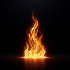 fire on black background