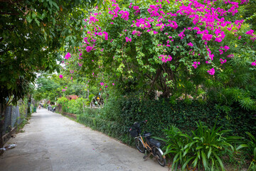 베트남 유명한 관광 명소인 호인안의 아름다운 풍경이다.