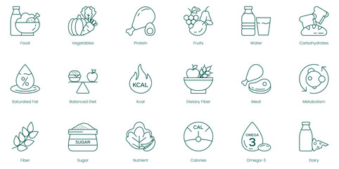 Balanced Nutrition Vector Icons: Food, Vegetables, Protein, Fruits, Water, Carbohydrates, Saturated Fats, Balanced Diet, Calories, Dietary Fiber, Meat, Metabolism, Fiber, Sugar, Nutrients, Omega-3
