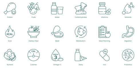 Comprehensive Wellness Vector Icons: Protein, Fruits, Water, Carbohydrates, Vitamins, Minerals, Calories, Dietary Fiber, Meat Metabolism, Meal Planning, Digestion, Nutrients, Omega-3, Dairy, Iron