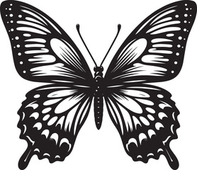 Beautiful butterfly insect silhouette illustration isolated on a white background