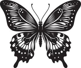 Beautiful butterfly insect silhouette illustration isolated on a white background