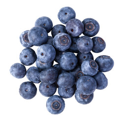 bilberries isolated. png file