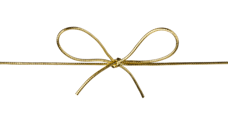 ribbon with bow isolated. png file