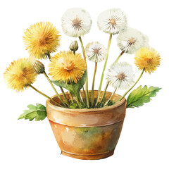 Watercolor Dandelions in a Pot