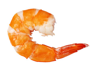 shrimp isolated. png file