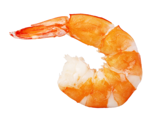 shrimp isolated. png file