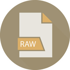 RAW File format icon  in shapes and circular shape outside
