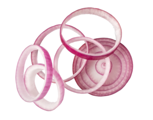 Sliced red onion isolated. png file