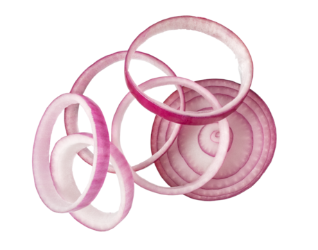Sliced red onion isolated. png file
