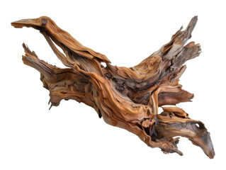 A piece of intricately shaped driftwood, showcasing natural textures and colors.