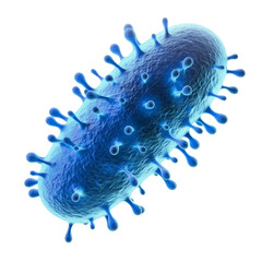 pathogen cell, bacteria and virus isolated on Transparent background