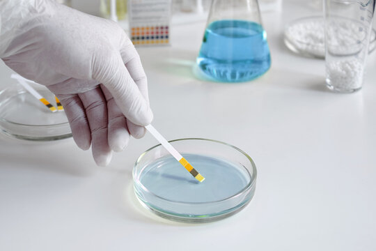 A scientist in a chemical laboratory takes measurements of the acid-base balance of a liquid in a Petri dish.