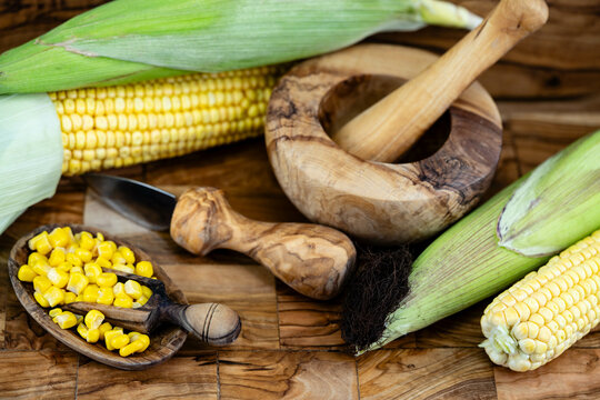 Frisch geernteter Mais Zea mays