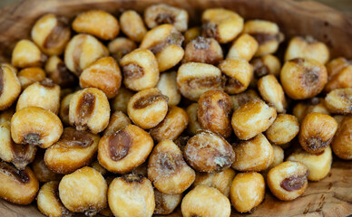 Frisch geernteter Mais Zea mays