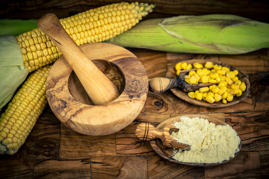 Frisch geernteter Mais Zea mays