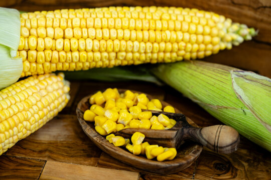 Frisch geernteter Mais Zea mays